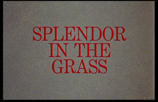 その他 Natalie Wood Collection/ [DVD] movie-buffs-forever-dvd-the-